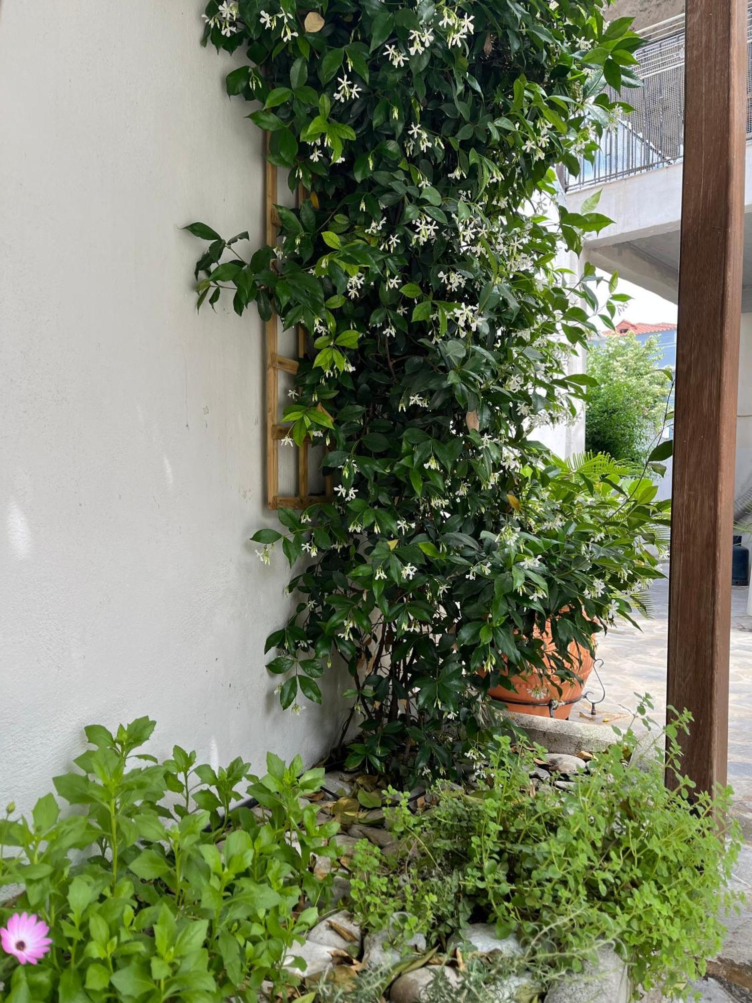 Maria'S Jasmine Lägenhet Volos Exteriör bild